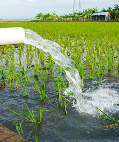 Innovación en tecnología agrícola.