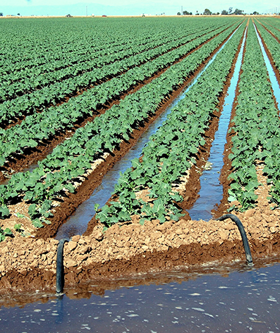 Cambios tecnológicos en la industria de bombas de agua.